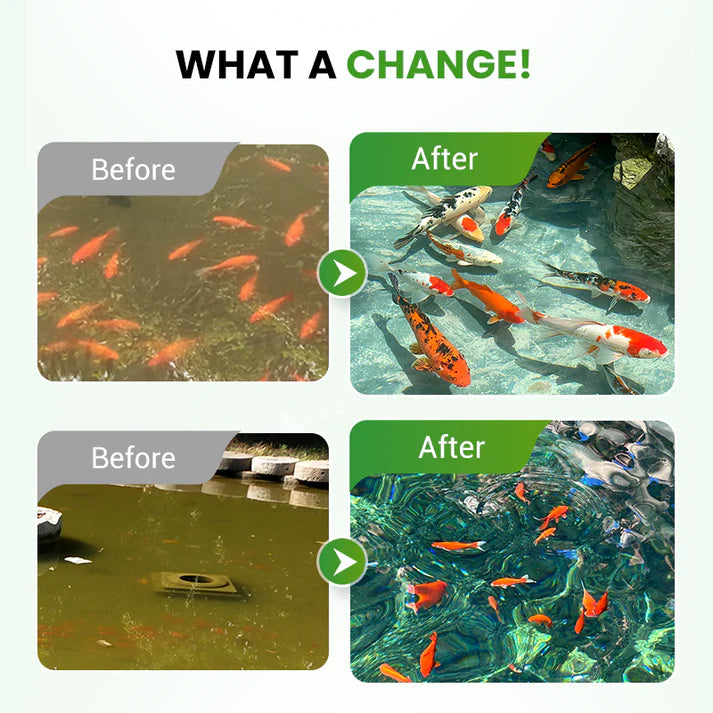 500g Premium Pond Care Powder | Water Clarifier & Algae Control 🐟
