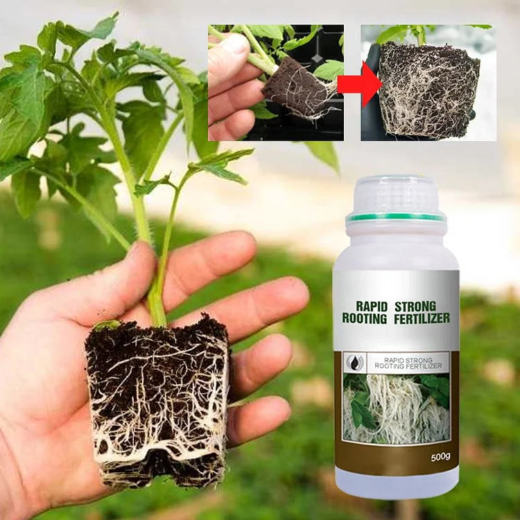 Rapid Strong Rooting Fertilizer ( Buy 1 Get 1 Free  )