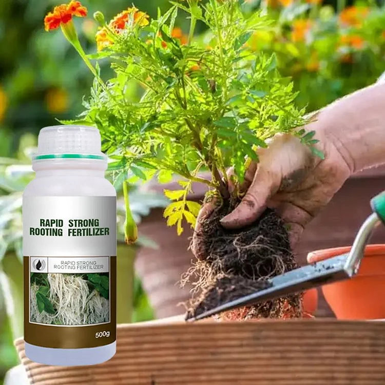 Rapid Strong Rooting Fertilizer ( Buy 1 Get 1 Free  )