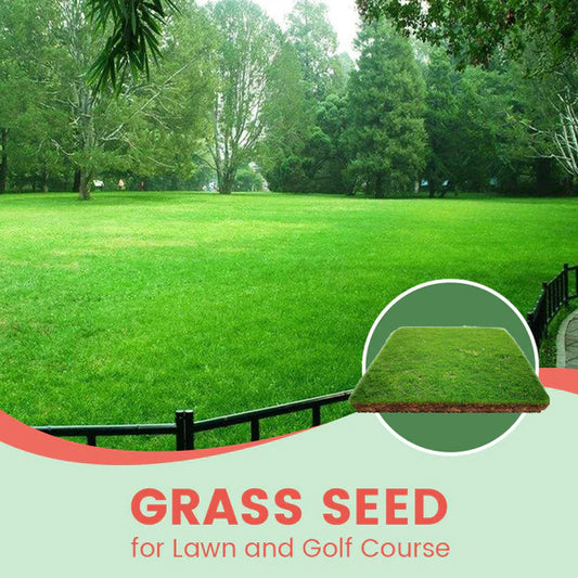 ⛳Grass Seeds for Lawn and Golf Course