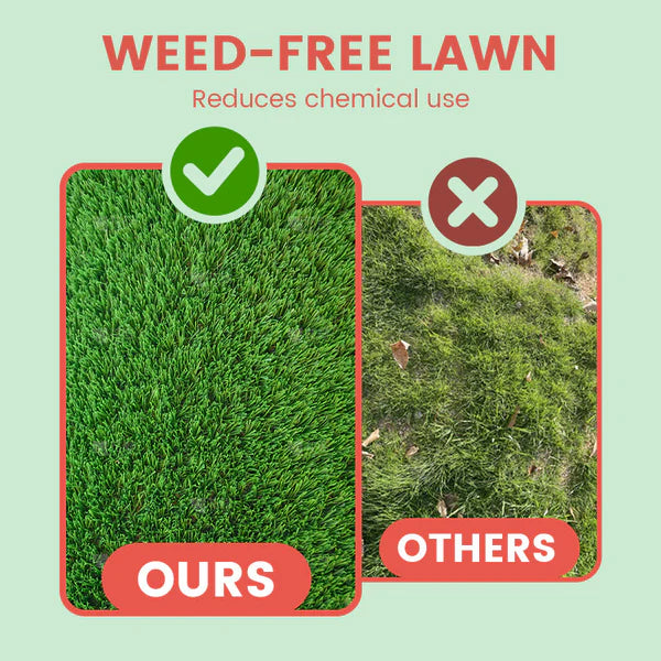 ⛳Grass Seeds for Lawn and Golf Course