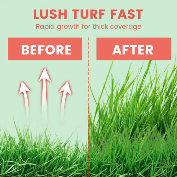 ⛳Grass Seeds for Lawn and Golf Course