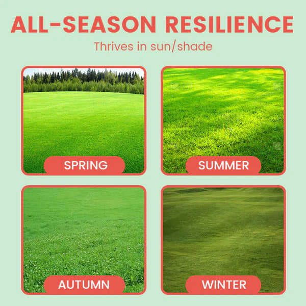 ⛳Grass Seeds for Lawn and Golf Course