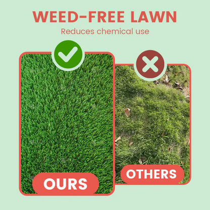 ⛳Grass Seeds for Lawn and Golf Course